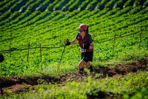 BIB: 
                            <button type="button" onclick="openModal(19160573)" class="btn btn-primary btn-sm float-right btn-popup" data-toggle="modal" data-target=".modal-high-quality">
                        <i class="fas fa-shopping-cart"></i> Add to Cart
                    </button>
                                            <button type="button" onclick="isThisMe(19160573, true)" class="btn btn-success btn-sm float-right btn-popup btn-isme hidden" data-toggle="tooltip" data-placement="bottom" title="นี่คือรูปของคุณใช่ไหม คลิกที่นี่เพื่อเอาเข้าอัลบั้ม">
                        <i class="fas fa-plus"></i> Add to album
                    </button>
                    <button type="button" onclick="isThisMe(19160573, false)" class="btn btn-warning btn-sm float-right btn-popup btn-isnotme hidden">
                        <i class="fas fa-ban"></i> Remove from album
                    </button>